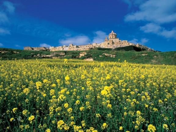 Stylish Bright And Airy Apart In Central Bugibba San Pawl il-Baħar Eksteriør billede